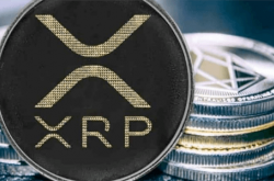 XRP ETF获批预期升温，人工智能预测价格或将飙升