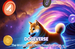 新出的Dogeverse币是什么? 一文带您了解该项目的详细信息